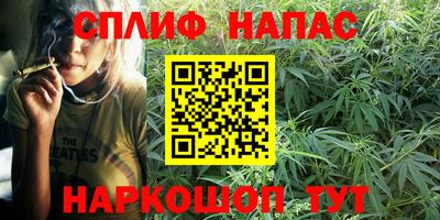 гашик Малгобек